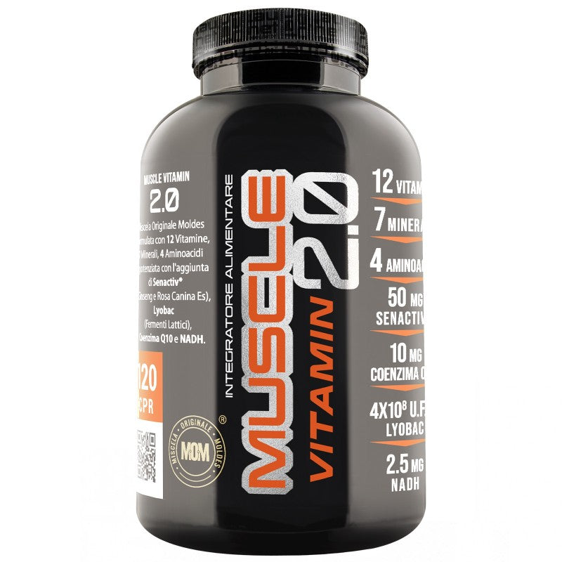 NET MUSCLE VITAMIN 2.0
